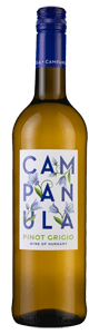 Campanula Pinot Grigio