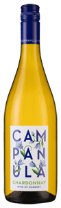 Campanula Chardonnay