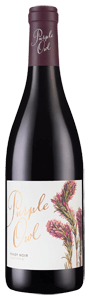 Purple Owl Pinot Noir