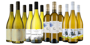 Sauvignon Blanc Dozen