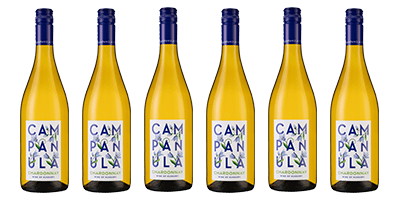 Campanula Chardonnay Six Pack