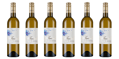 Albastrele Sauvignon Blanc Six Pack